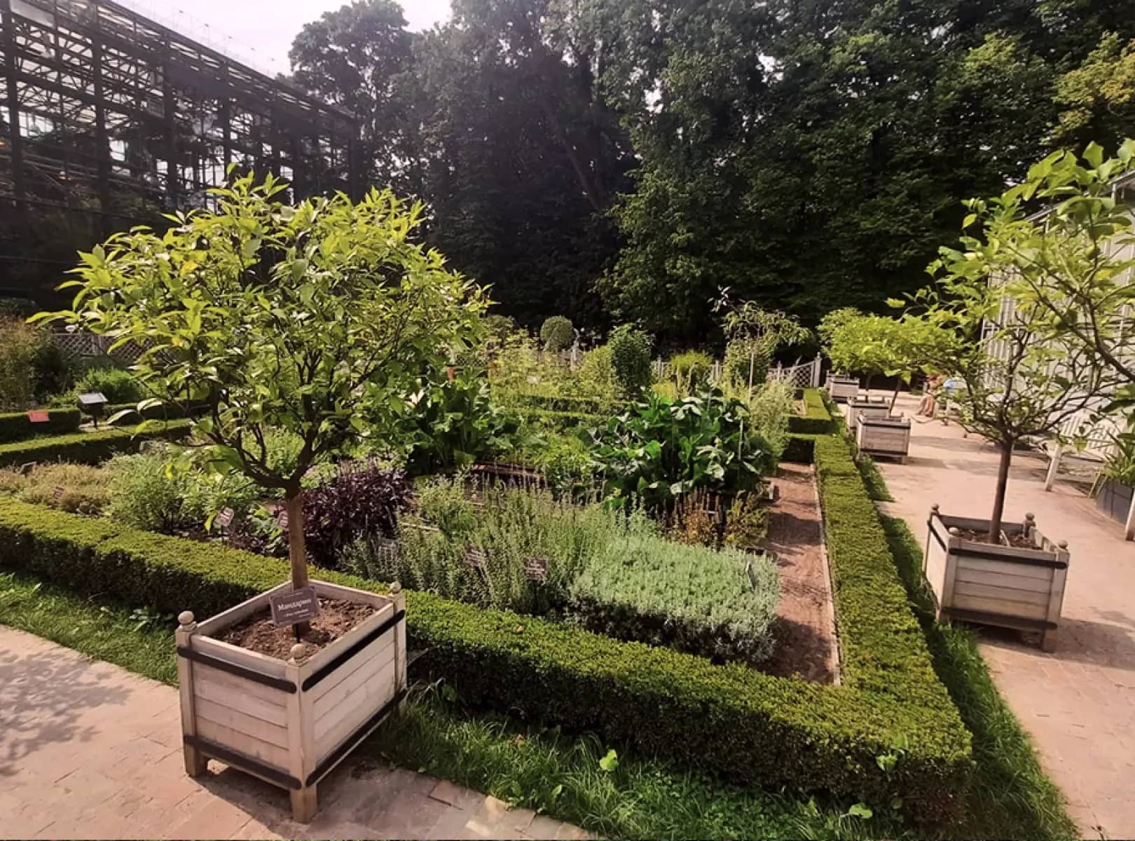 garden